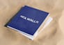 design premium logo, brand identity, visual branding guideline